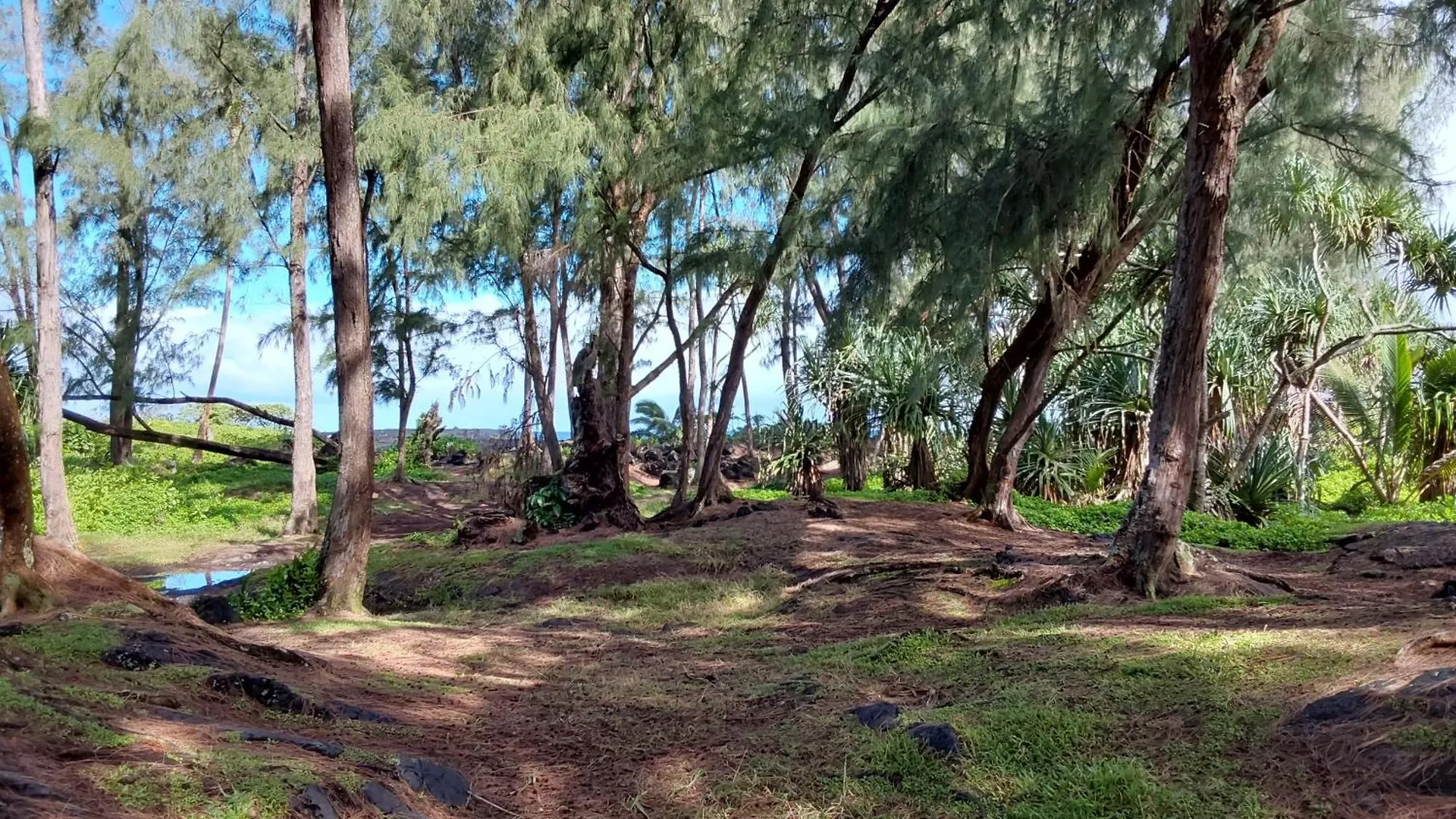 Ainaloa Home Of Big Island Guest house