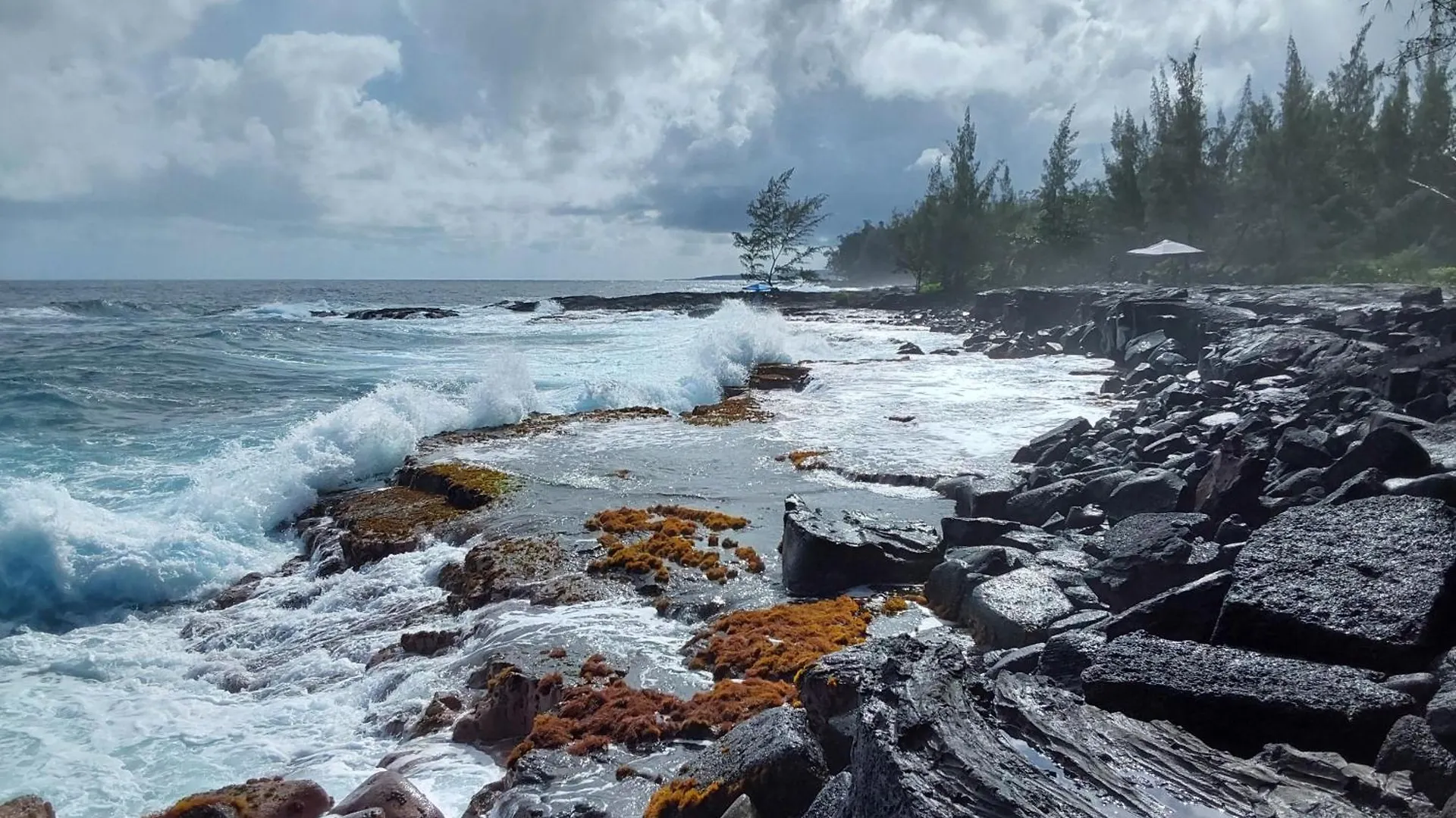 Guest house Ainaloa Home Of Big Island United States